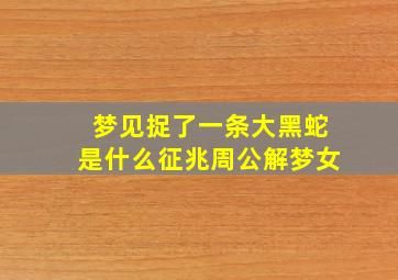 梦见捉了一条大黑蛇是什么征兆周公解梦女