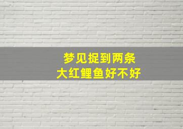 梦见捉到两条大红鲤鱼好不好