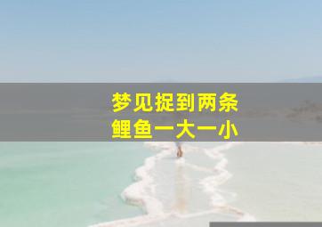 梦见捉到两条鲤鱼一大一小