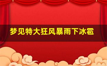 梦见特大狂风暴雨下冰雹