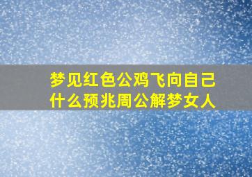 梦见红色公鸡飞向自己什么预兆周公解梦女人