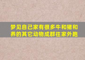 梦见自己家有很多牛和猪和养的其它动物成群往家外跑