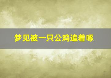 梦见被一只公鸡追着啄