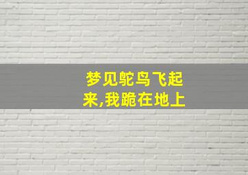 梦见鸵鸟飞起来,我跪在地上