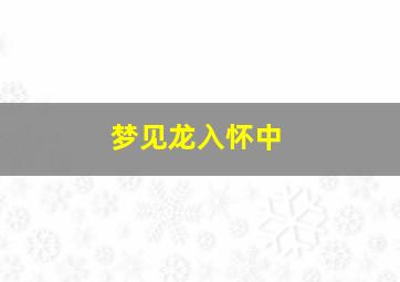 梦见龙入怀中