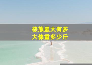 棕熊最大有多大体重多少斤