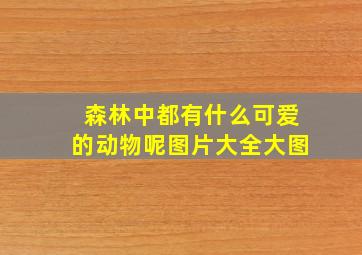 森林中都有什么可爱的动物呢图片大全大图