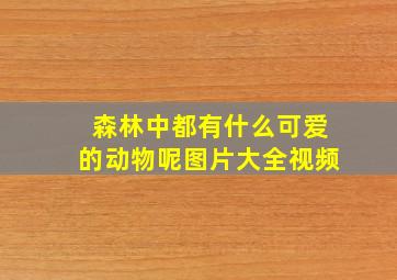 森林中都有什么可爱的动物呢图片大全视频