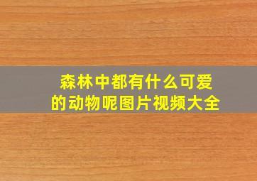 森林中都有什么可爱的动物呢图片视频大全