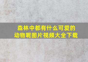 森林中都有什么可爱的动物呢图片视频大全下载