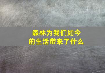 森林为我们如今的生活带来了什么