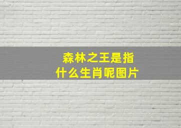 森林之王是指什么生肖呢图片