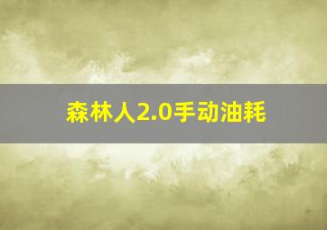 森林人2.0手动油耗