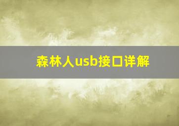 森林人usb接口详解