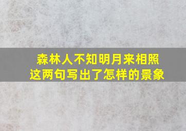 森林人不知明月来相照这两句写出了怎样的景象