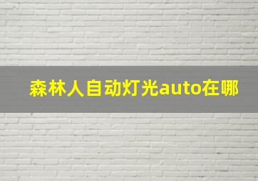 森林人自动灯光auto在哪