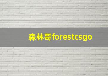 森林哥forestcsgo