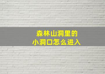 森林山洞里的小洞口怎么进入