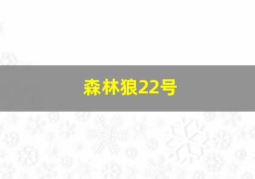 森林狼22号