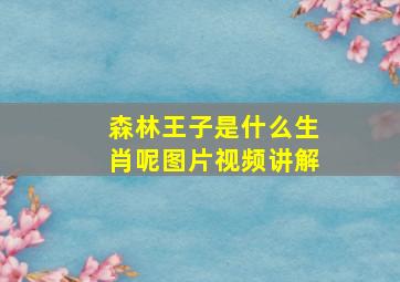 森林王子是什么生肖呢图片视频讲解