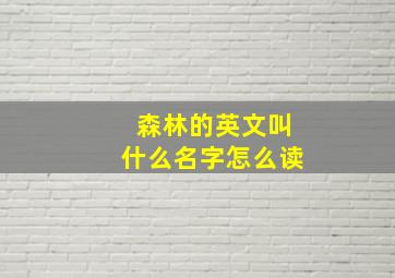 森林的英文叫什么名字怎么读