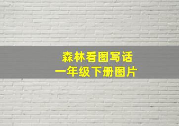 森林看图写话一年级下册图片