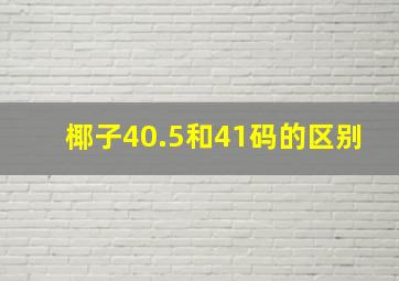 椰子40.5和41码的区别