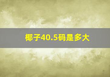 椰子40.5码是多大