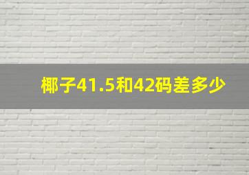 椰子41.5和42码差多少