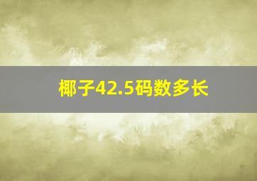 椰子42.5码数多长