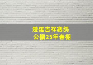 楚雄吉祥赛鸽公棚25年春棚