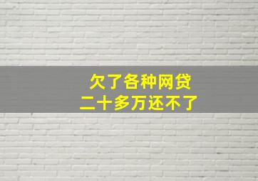 欠了各种网贷二十多万还不了