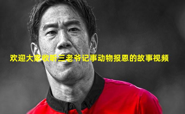 欢迎大家收听三老爷记事动物报恩的故事视频