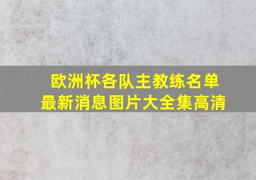 欧洲杯各队主教练名单最新消息图片大全集高清