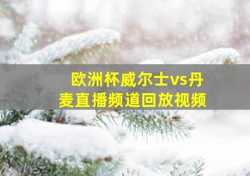 欧洲杯威尔士vs丹麦直播频道回放视频