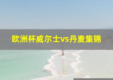 欧洲杯威尔士vs丹麦集锦