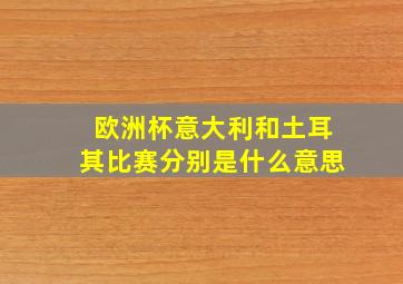 欧洲杯意大利和土耳其比赛分别是什么意思