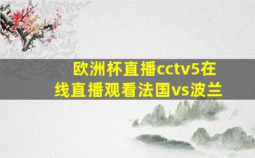 欧洲杯直播cctv5在线直播观看法国vs波兰