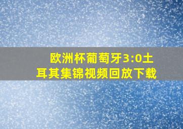 欧洲杯葡萄牙3:0土耳其集锦视频回放下载