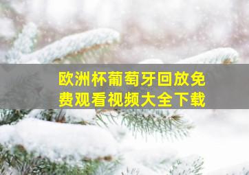 欧洲杯葡萄牙回放免费观看视频大全下载