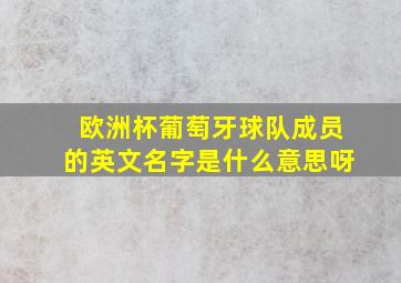 欧洲杯葡萄牙球队成员的英文名字是什么意思呀