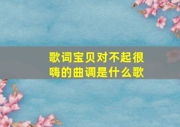 歌词宝贝对不起很嗨的曲调是什么歌