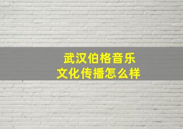 武汉伯格音乐文化传播怎么样