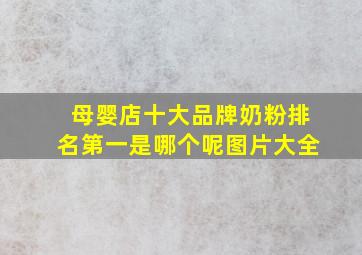 母婴店十大品牌奶粉排名第一是哪个呢图片大全