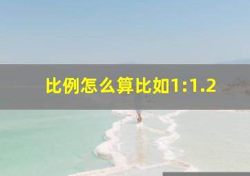 比例怎么算比如1:1.2