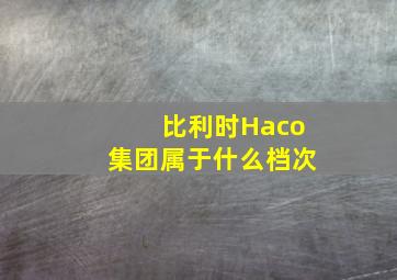 比利时Haco集团属于什么档次