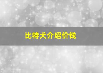 比特犬介绍价钱