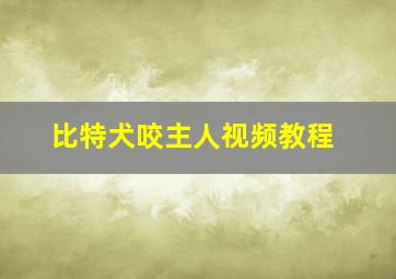 比特犬咬主人视频教程