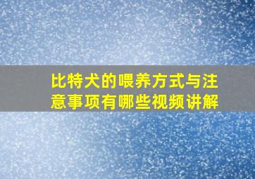 比特犬的喂养方式与注意事项有哪些视频讲解