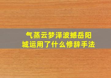 气蒸云梦泽波撼岳阳城运用了什么修辞手法